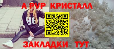 шишки Заводоуковск