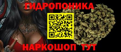 шишки Заводоуковск