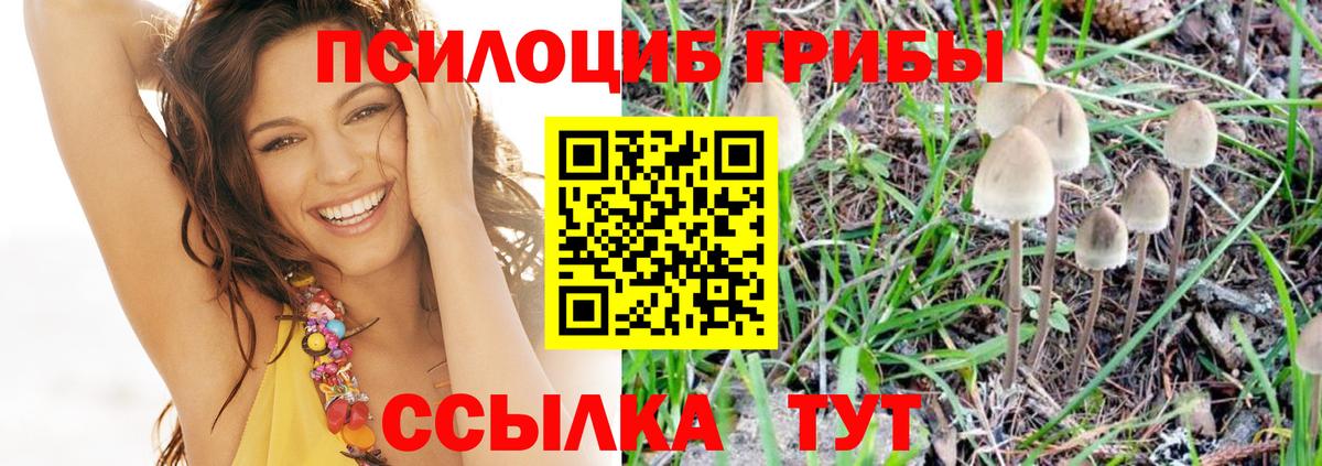 Псилоцибиновые грибы мицелий  Вход с VPN  Кулебаки 